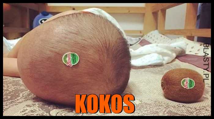 Kokos