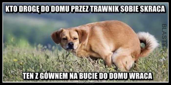 Kto drogę do domu przez trawnik sobie skraca