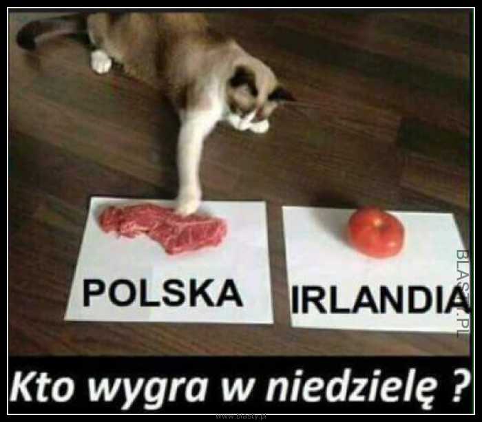 Kto wygra w niedziele Polska - Irlandia