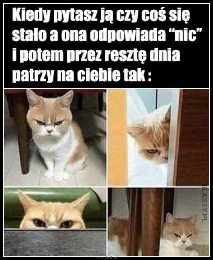 Kto zrozumie kobiety