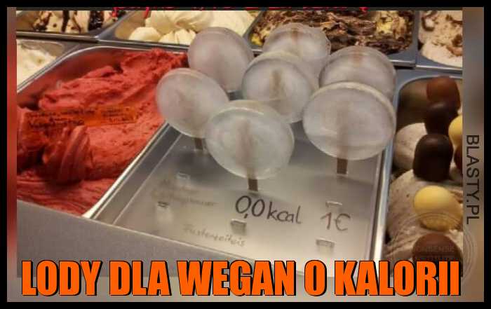 Lody dla wegan 0 kalorii