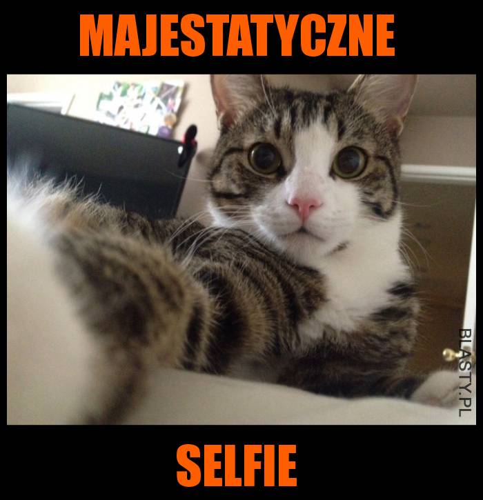 majestatyczne selfie