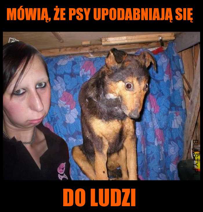 Mówią, że psy upodabniają się