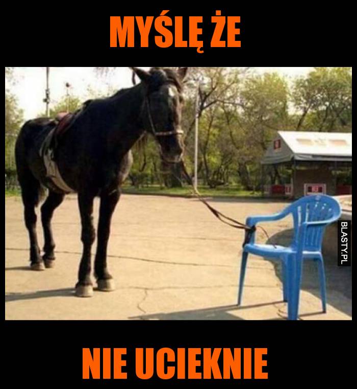 Myślę że nie ucieknie