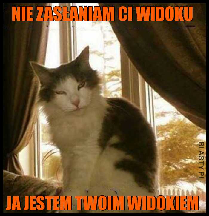 Nie zasłaniam Ci widoku, ja jestem Twoim widokiem