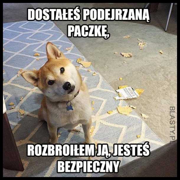 Pieseł, który został bohaterem