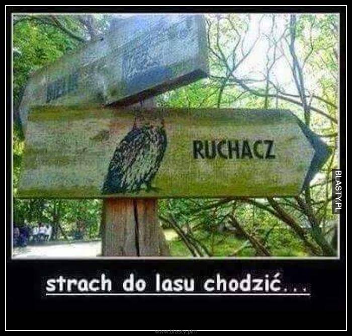 Ruchacz