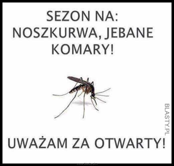 Sezon na noszkurwa komary uważam za otwarty