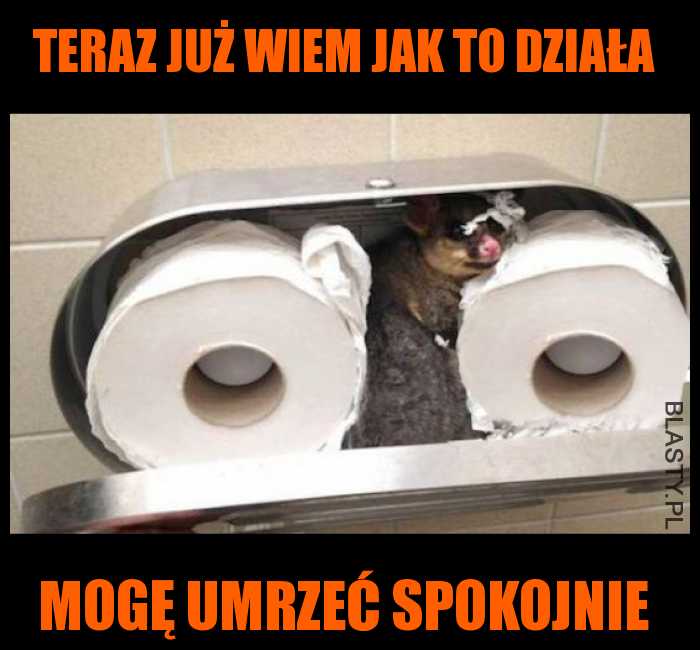 Teraz już wiem