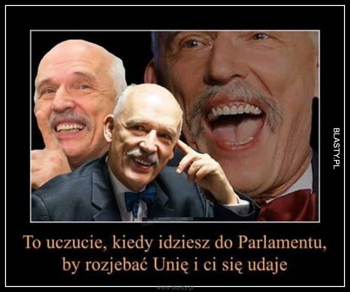 To uczucie kiedy idziesz do Parlamemtu by rozwalić unię i Ci się udaje