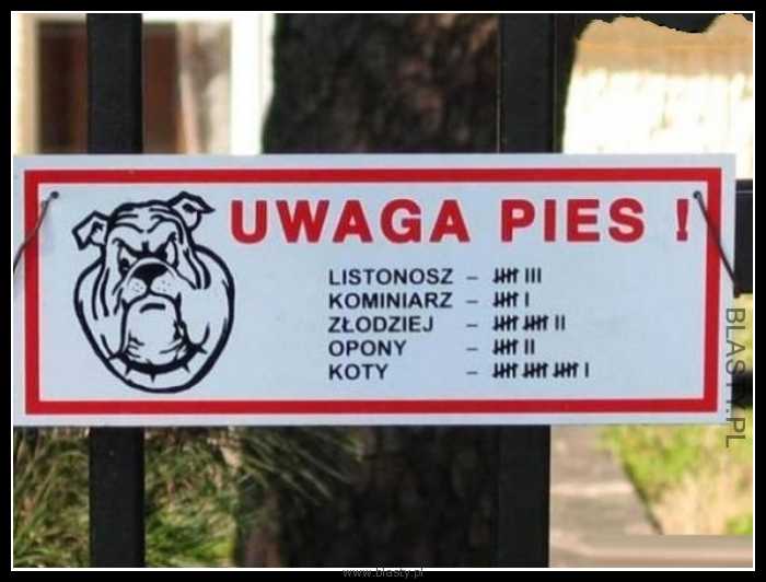 Uwaga pies