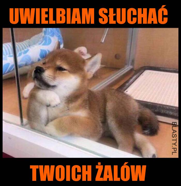 Uwielbiam słuchać twoich żalów