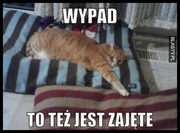 Wypad to też jest zajęte