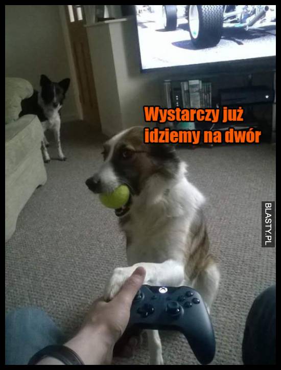 Wystarczy już idziemy na dwór