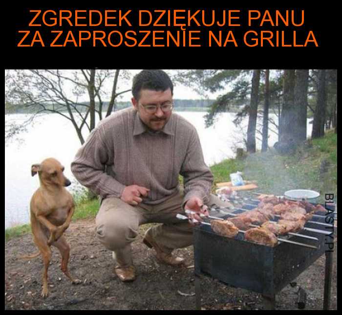 Zgredek dziękuje Pan za...