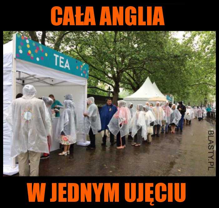 Zlot herbaciarzy angielskich