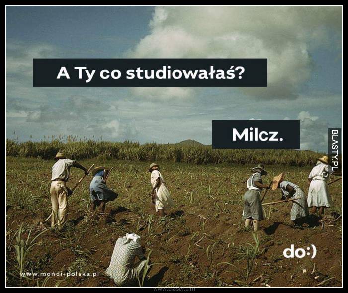 A Ty co studiowałaś ?