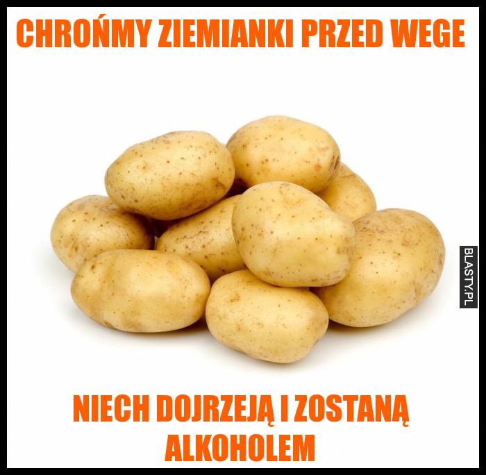 Chrońmy ziemianki przed wege niech dojrzeją i zostaną alkoholem