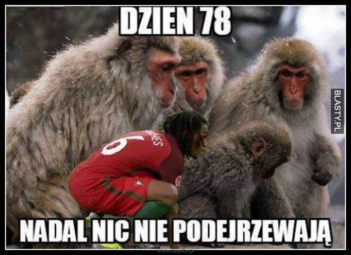 Dzień 78 nadal nic nie podejrzewają