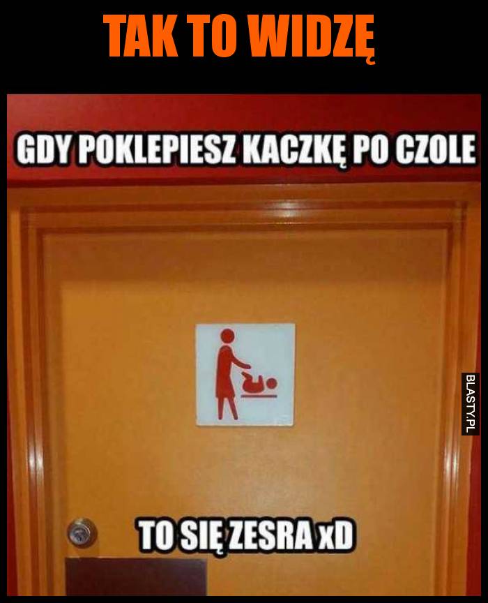 Gdy poklepiesz kaczkę po czole