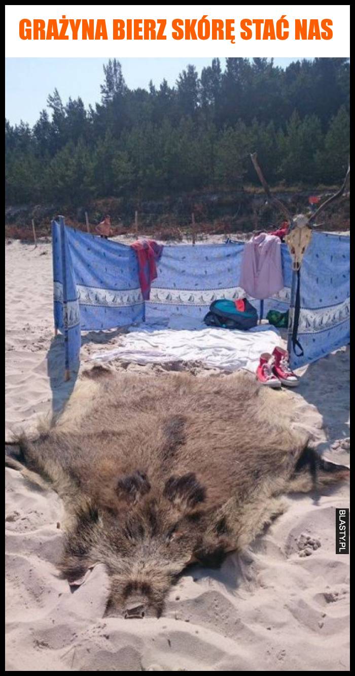 20 Mem w Typowa Grazyna Najlepsze mieszne Memy I Demotywatory 
