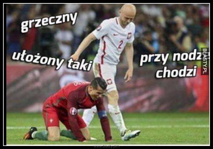 Grzeczny ułożony przy nodze chodzi