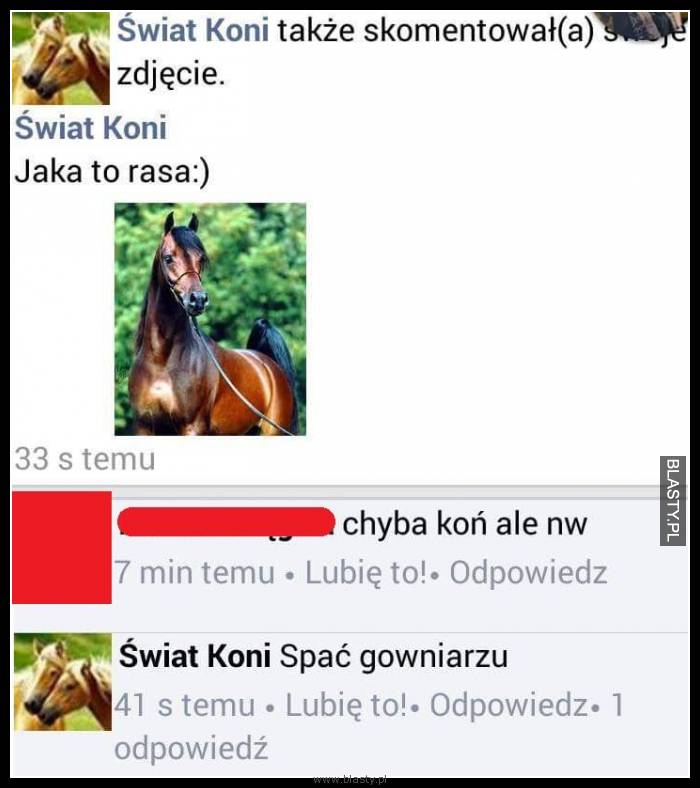 Jaka to rasa Jaka to rasa