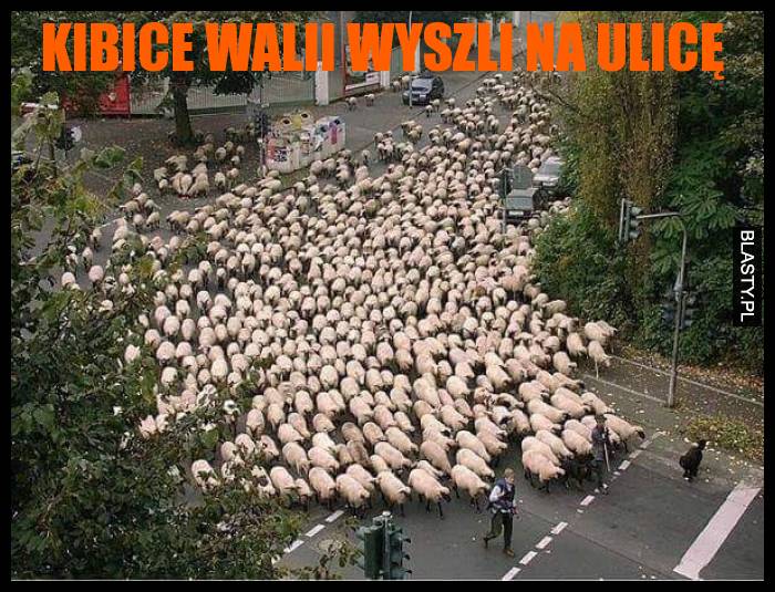 Kibice Walii wyszli na ulicę