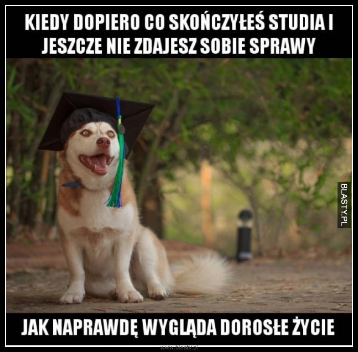 Kiedy dopiero co ukończyłeś studia