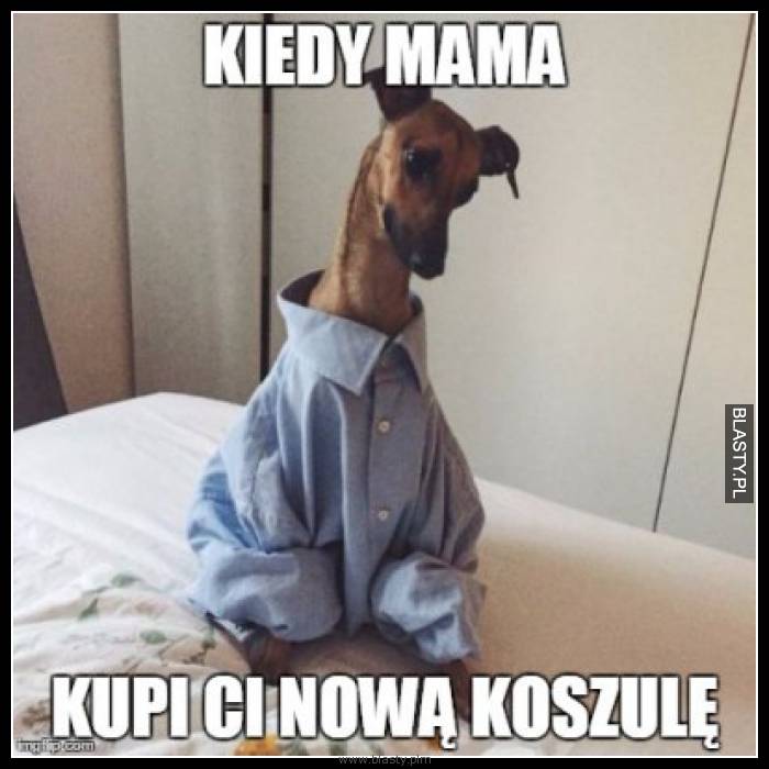 Kiedy mama kupi Ci nową koszulę