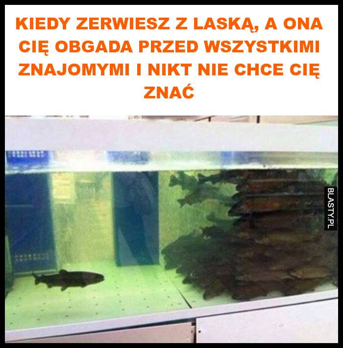 Kiedy zerwiesz z laską, a ona Cię obgada