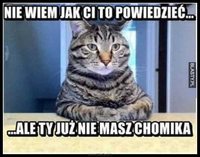 Nie wiem jak Ci to powiedziec ale Ty juz nie masz chomika