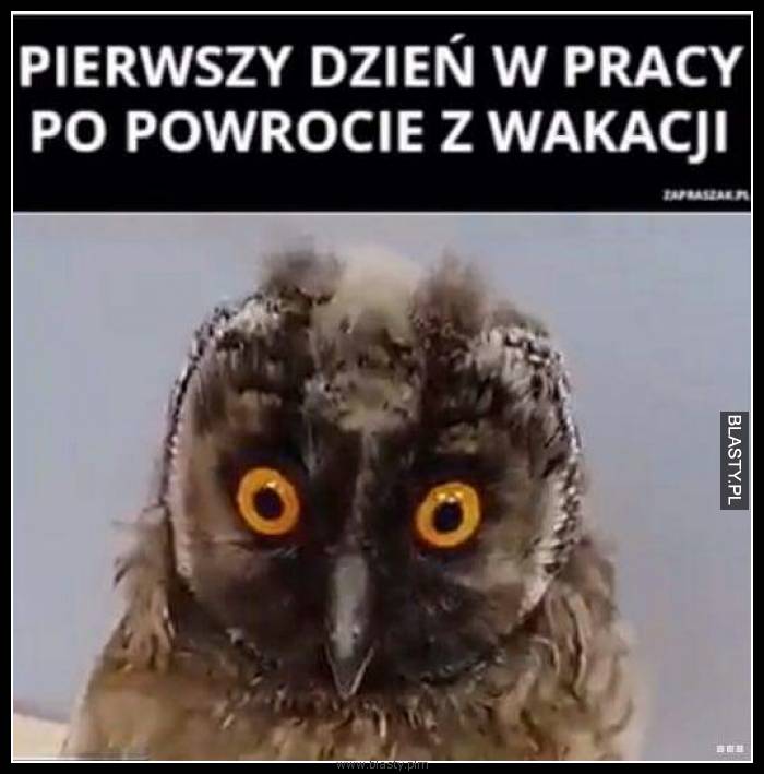 Pierwszy dzień w pracy po powrocie z wakacji