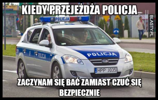 Polska Policja