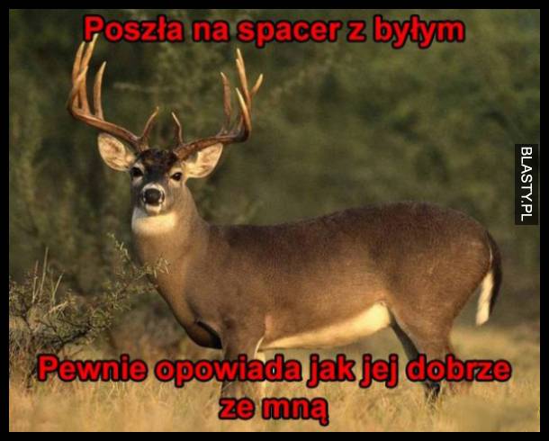 Poszła na spacer z byłym