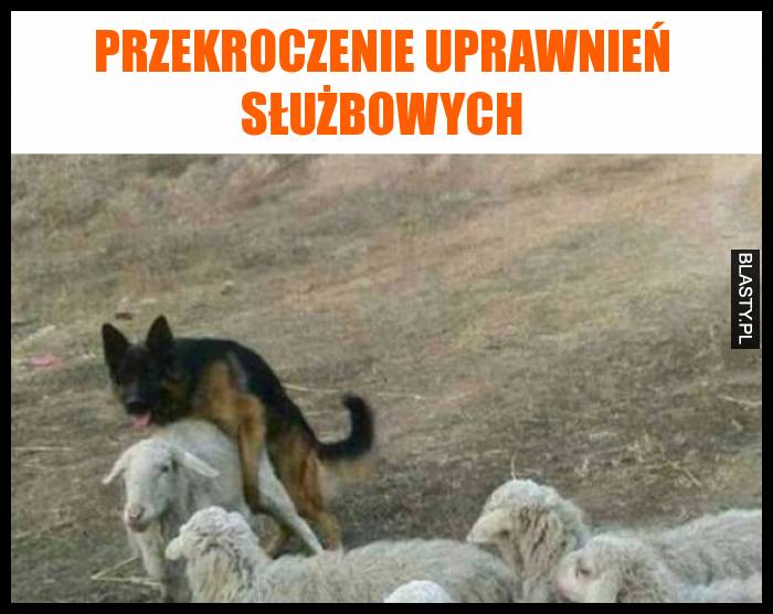 Przekroczenie uprawnień służbowych