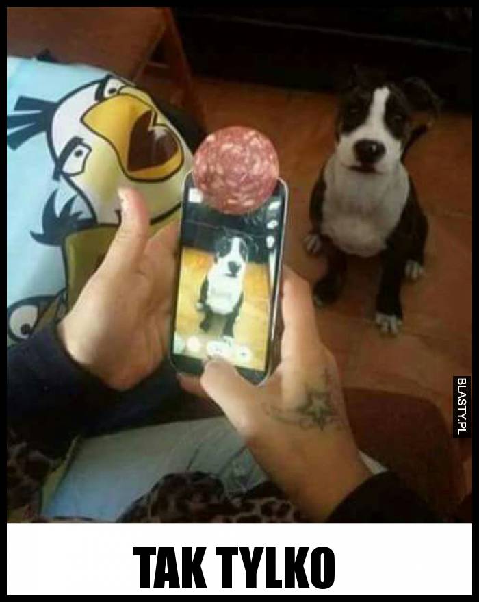 Tak tylko