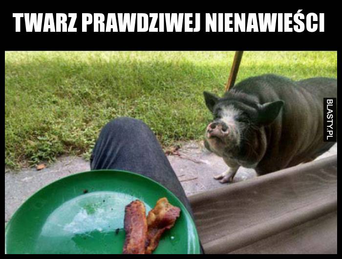 Twarz prawdziwej nienawieści