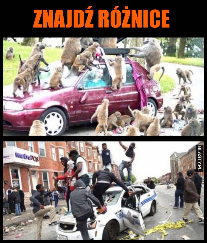 Znajdź różnice