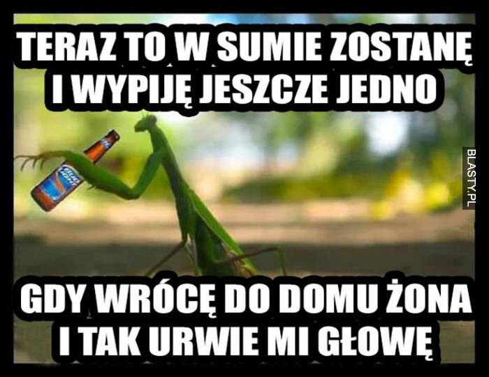 Żona i tak urwie mi głowę