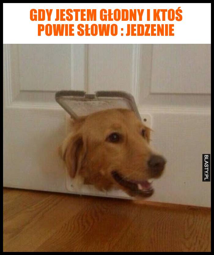 Gdy jestem głodny i ktoś powie słowo : Jedzenie