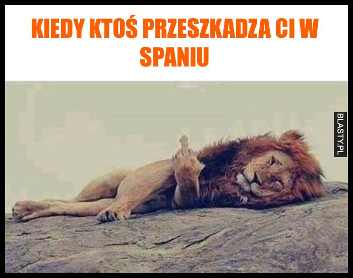 Kiedy ktoś przeszkadza Ci w spaniu