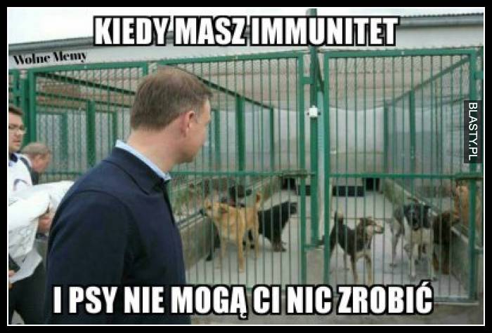 Kiedy masz immunitet i psy nie mogą Ci nic zrobić