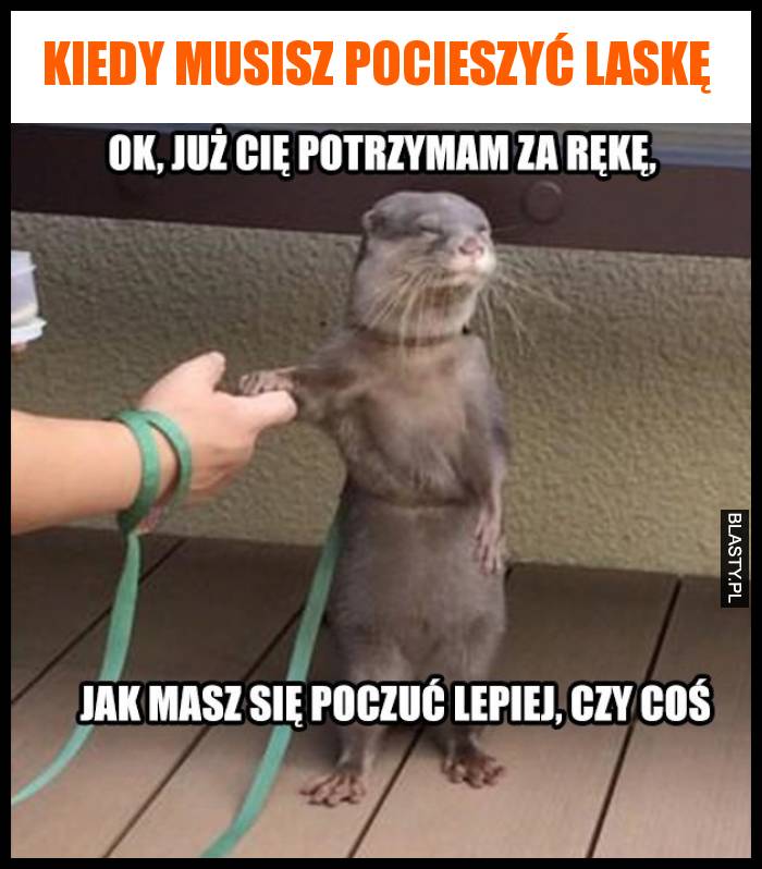 Kiedy musisz pocieszyć laskę