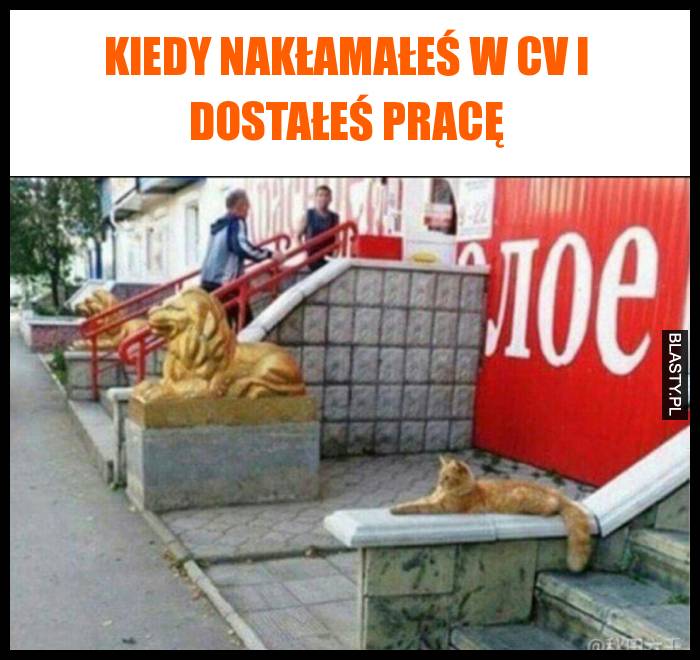 Kiedy nakłamałeś w CV i dostałeś pracę