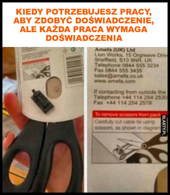 Kiedy potrzebujesz pracy, aby zdobyć doświadczenie