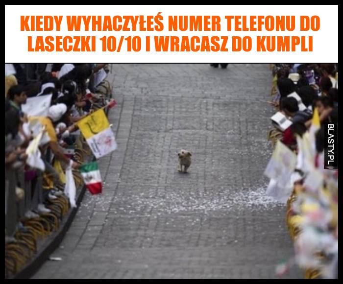 Kiedy wyhaczyłeś numer telefonu do laseczki 10/10 i wracasz do kumpli