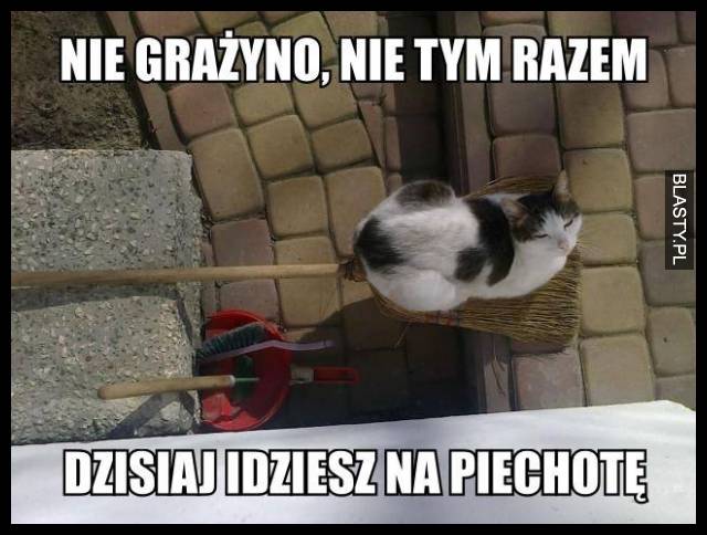 Nie tym razem Grażyno