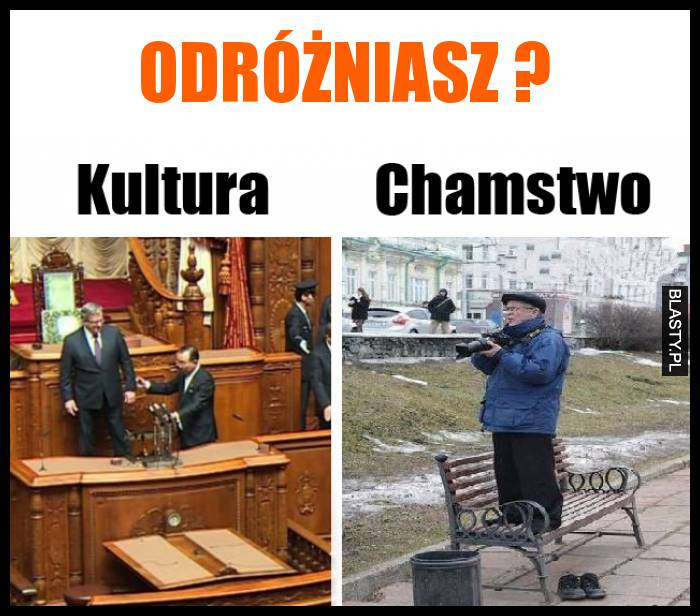 Odróżniasz ?