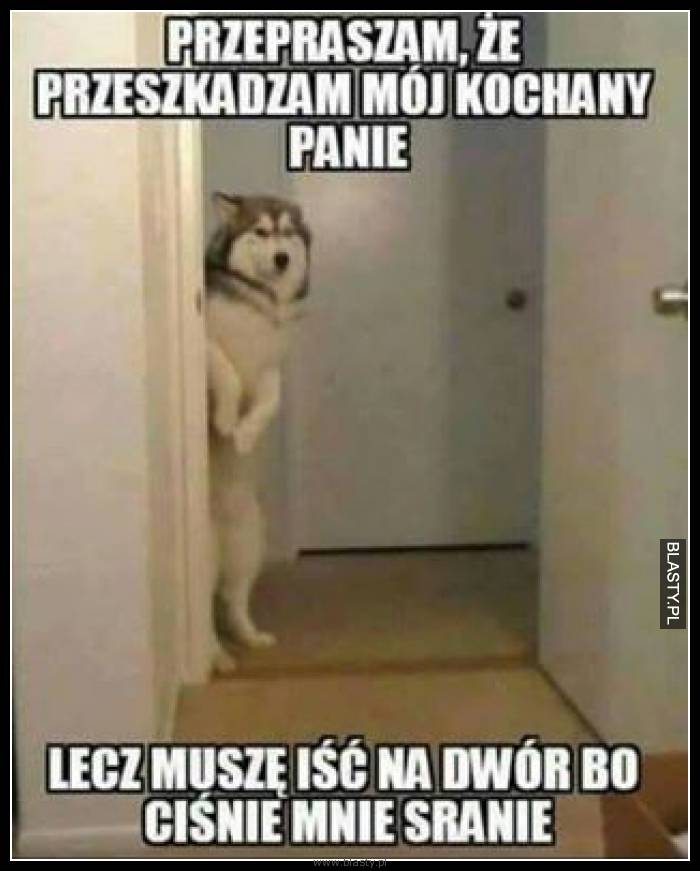 Przepraszam, że przeszkadzam mój kochany panie